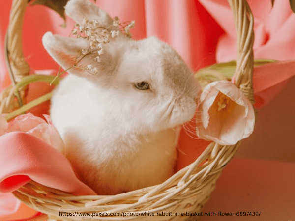 We wish a Happy Easter 2026